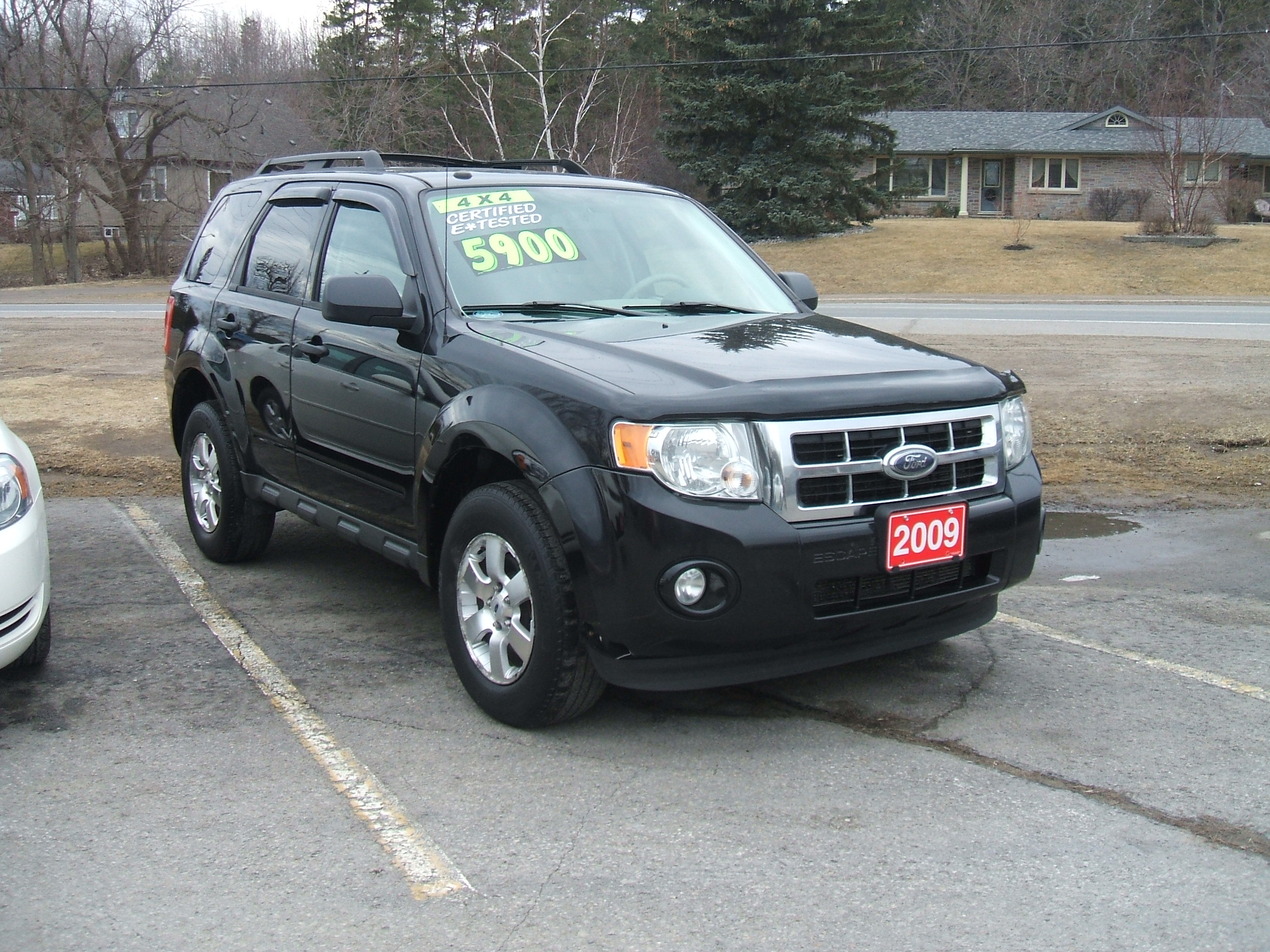 2009 Ford Escape Xlt 4x4 Interior 2 Bob Currie Auto Sales